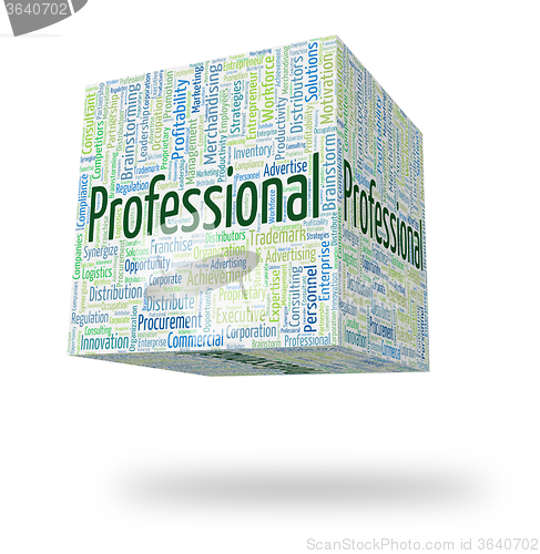 Image of Professional Word Shows Professions Specialist And Expertise