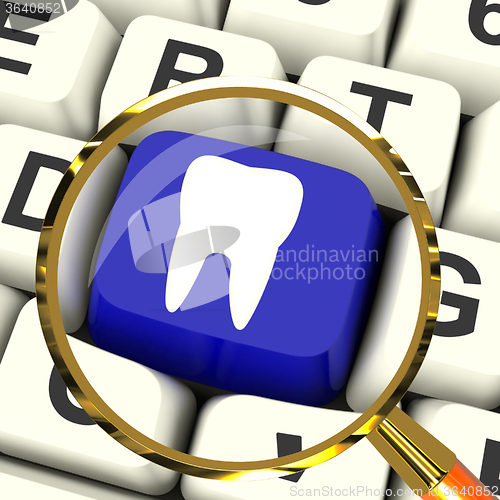 Image of Tooth Key Magnified Means Dental Appointment Or Teeth