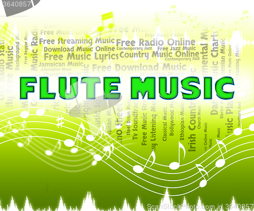 Image of Flute Music Indicates Sound Track And Flautists