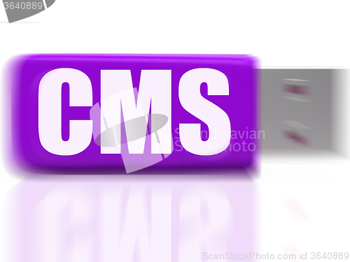 Image of CMS USB drive Means Content Optimization Or Data Traffic