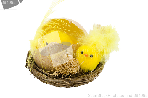 Image of Easter Chickens