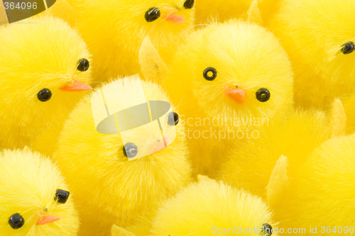 Image of Easter Chickens