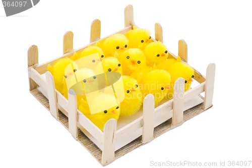 Image of Easter Chickens