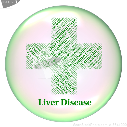 Image of Liver Disease Indicates Poor Health And Ailment