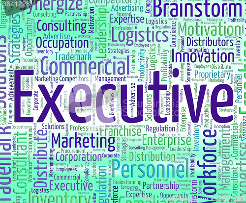 Image of Executive Word Represents Senior Administrator And Ceo