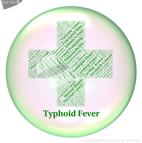 Image of Typhoid Fever Indicates Symptomatic Bacterial Infection And Salm
