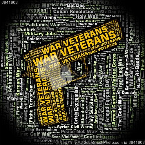 Image of War Veterans Indicates Long Service And Combat