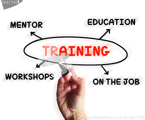 Image of Training Diagram Displays Mentorship Education And Job Preparati