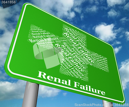 Image of Renal Failure Represents Lack Of Success And Ailments