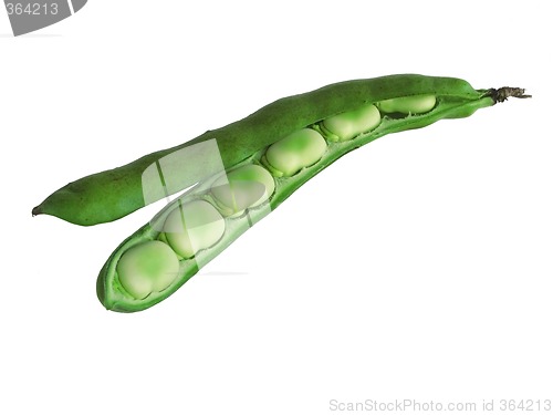 Image of Broadbeans In Pods