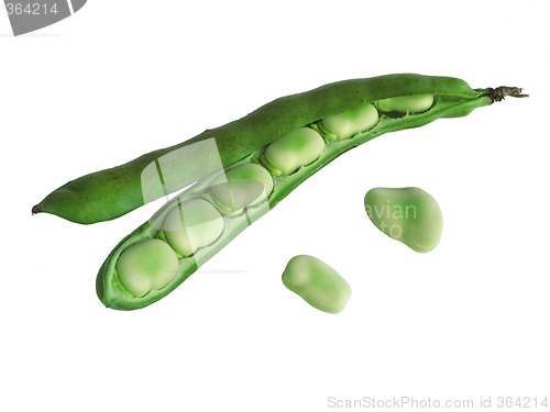 Image of Broadbeans In Pods