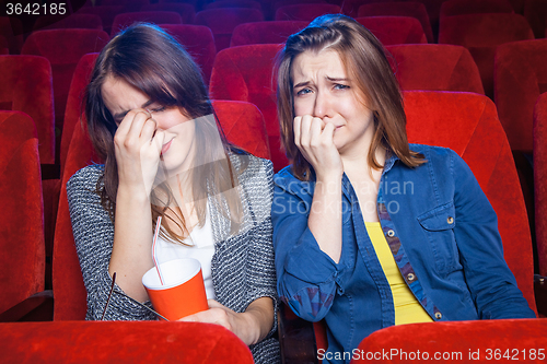 Image of The spectators in the cinema