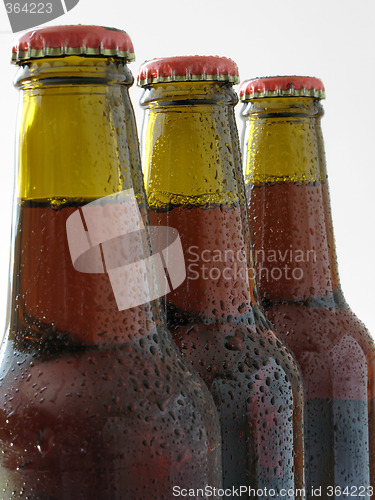 Image of Fresh Beer