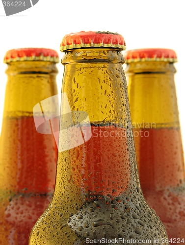 Image of Fresh beer