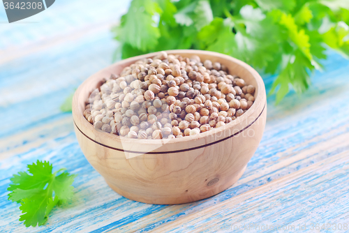 Image of coriander