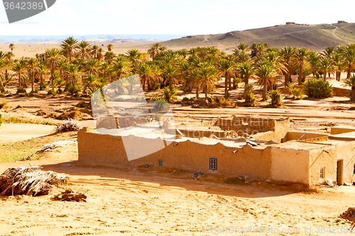 Image of sahara      africa in morocco  palm the old contruction  