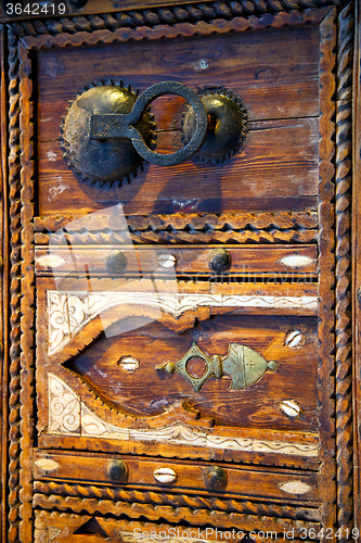 Image of shell  brown  rusty      morocco in africa   old wood 