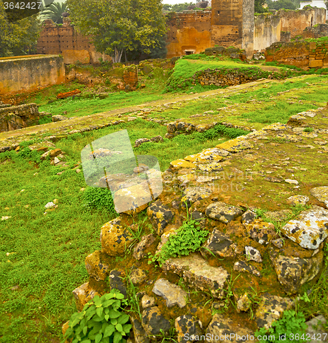 Image of chellah  in morocco africa the old roman deteriorated monument a