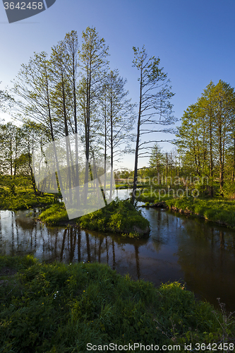 Image of   in the river  