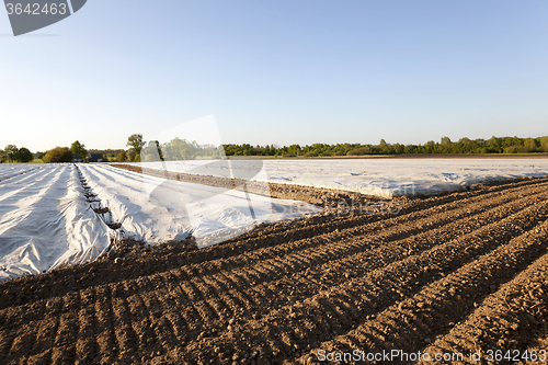 Image of greenhouses in the field  