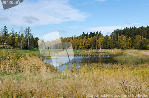 Image of Autumn at golf cource