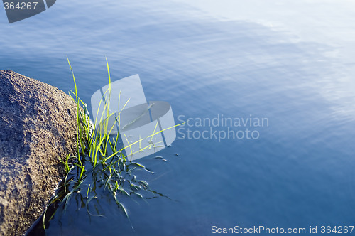 Image of Stones and grass in water surface