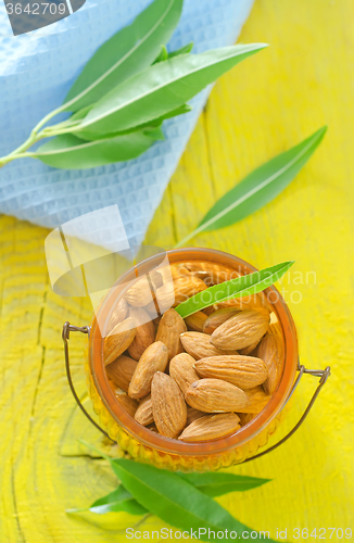 Image of almond