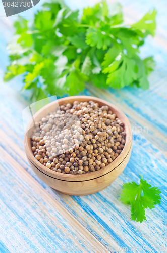 Image of coriander