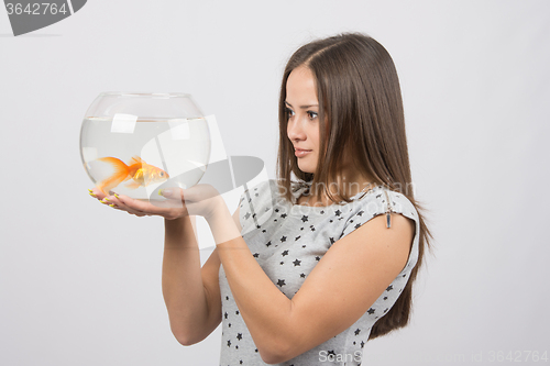 Image of A young girl looks at a goldfish