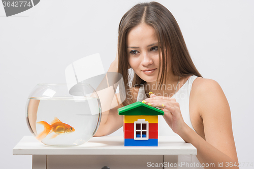 Image of The girl looks at a goldfish and put her hand on the toy house