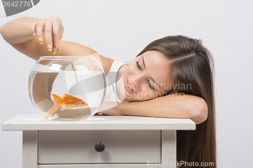 Image of A young girl looks at a goldfish in a fishbowl and feeds her