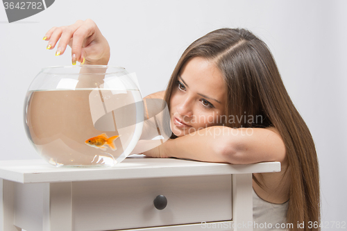 Image of Young girl put her head on his hand, the other hand feeds the fish in the aquarium