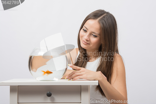 Image of She knocks on the finger on the glass aquarium with goldfish