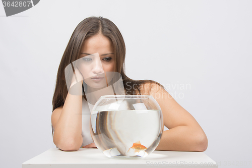 Image of Young girl angrily looking at goldfish in a fishbowl
