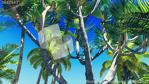 Image of Lush vegetation in jungle