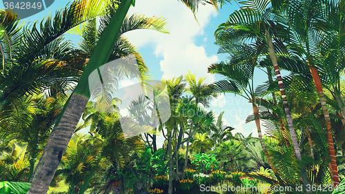 Image of Lush vegetation in jungle