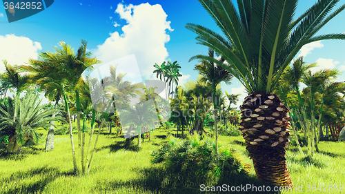 Image of Lush vegetation in jungle