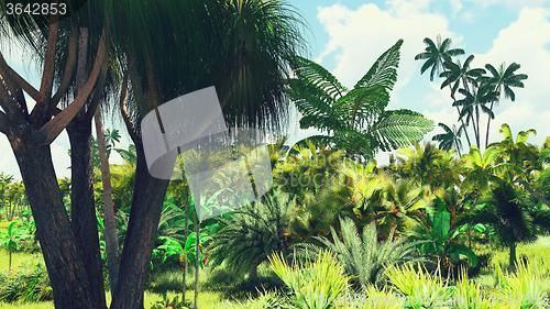 Image of Lush vegetation in jungle