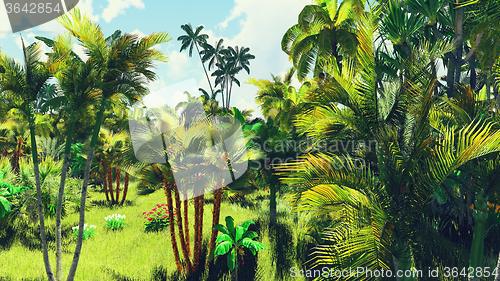 Image of Lush vegetation in jungle