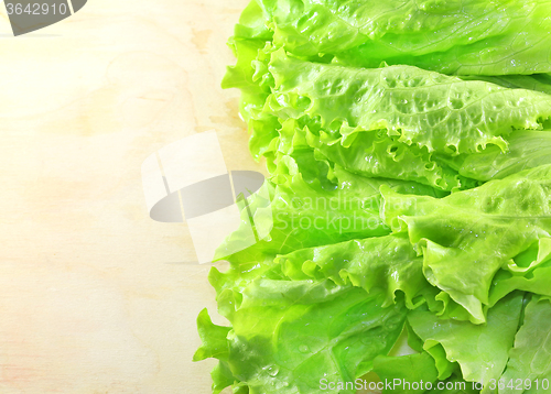 Image of Lettuce lying on wooden 