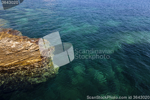 Image of rocky shore  . close up