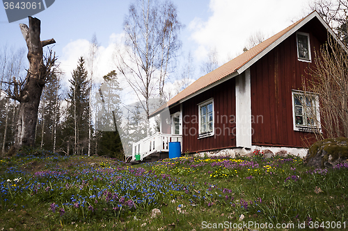 Image of old house with a spring garden