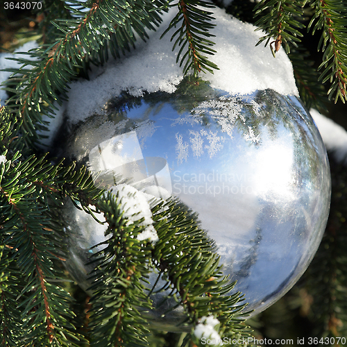 Image of Christmas decoration