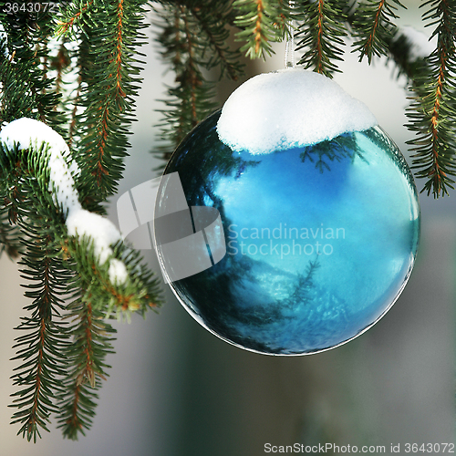 Image of Christmas decoration