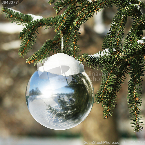 Image of Christmas decoration