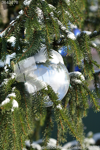 Image of Christmas decoration