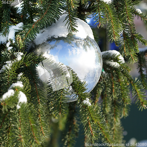 Image of Christmas decoration