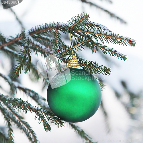 Image of Christmas decoration