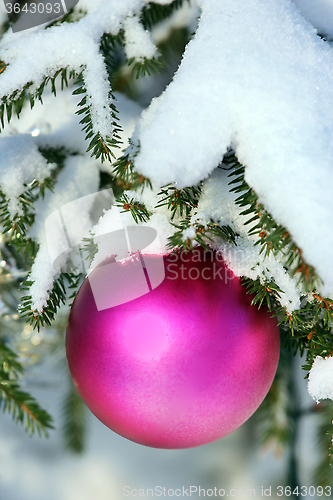 Image of Christmas decoration