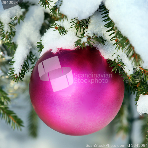 Image of Christmas decoration